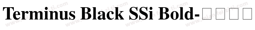 Terminus Black SSi Bold字体转换